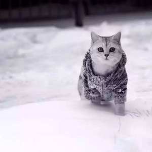 亚洲国产偷自拍
